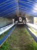 DSC04443.jpg