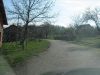 IMG_2987.jpg