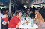 slika-31.jpg