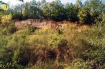 pecina-2004-velika.jpg