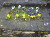 100_2442.jpg