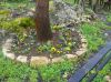 100_2443.jpg